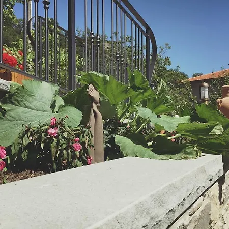 Ristorante Letizia קיוזי דלה ורנה