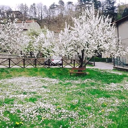 Ristorante Letizia מלון