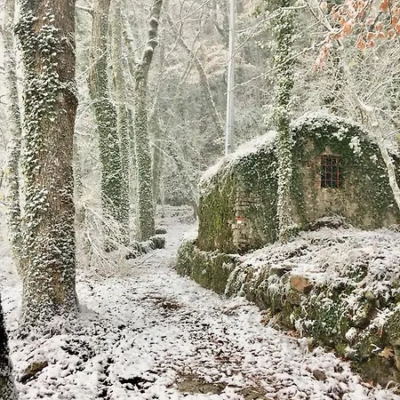 Ristorante Letizia 2* קיוזי דלה ורנה