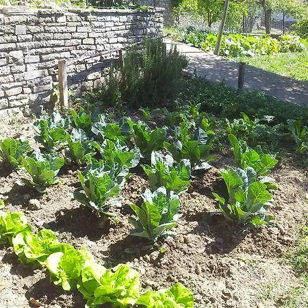 מלון Ristorante Letizia 2*