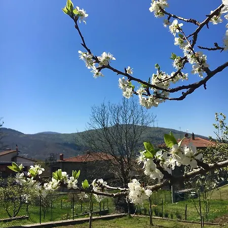 מלון Ristorante Letizia