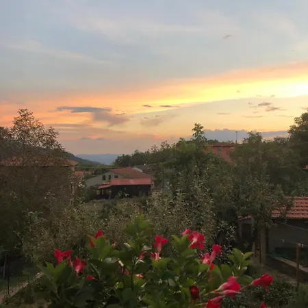 Ristorante Letizia מלון