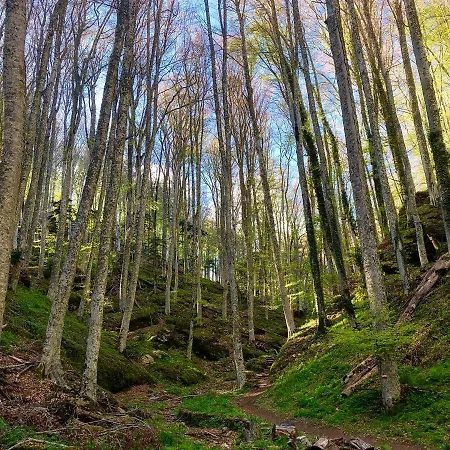 מלון Ristorante Letizia 2*