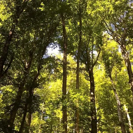 מלון Ristorante Letizia קיוזי דלה ורנה